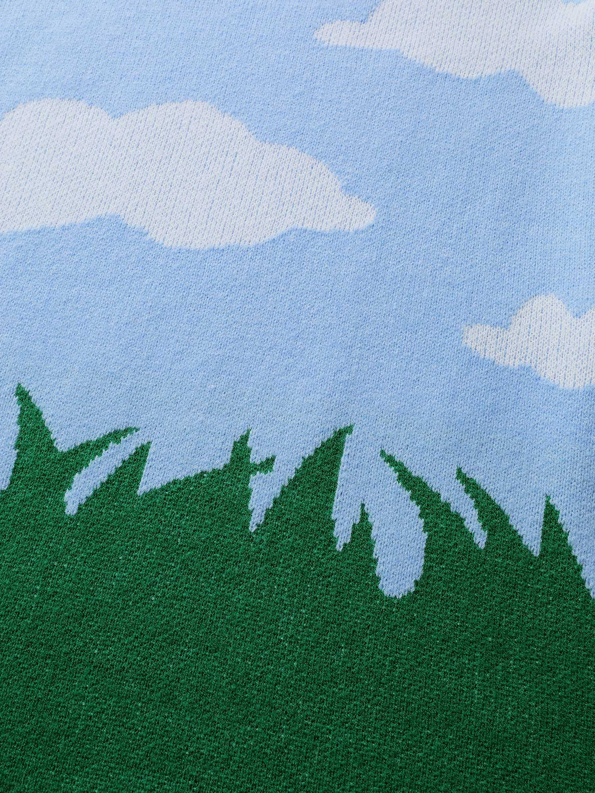 Cloudy Grass Print Jacquard Balloon Sleeve Pullover